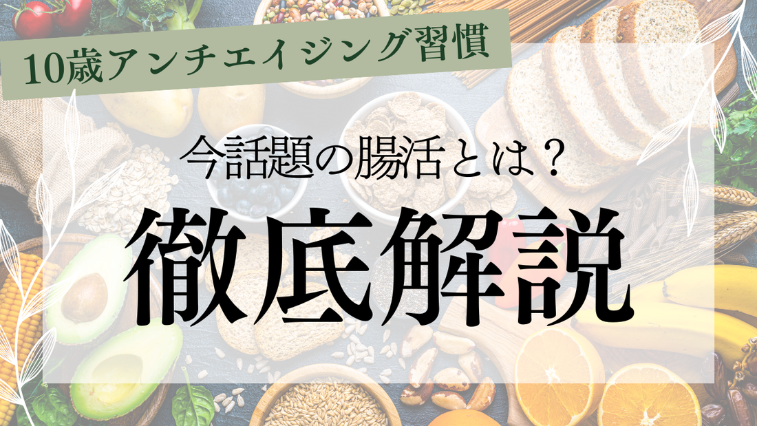 腸活とは何か？肌年齢を巻き戻すマイナス10歳アンチエイジング習慣