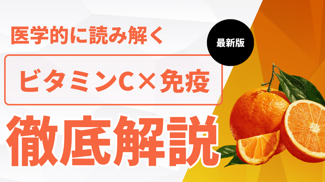 ビタミンC×免疫力のエビデンス｜風邪に差が出る科学的理由