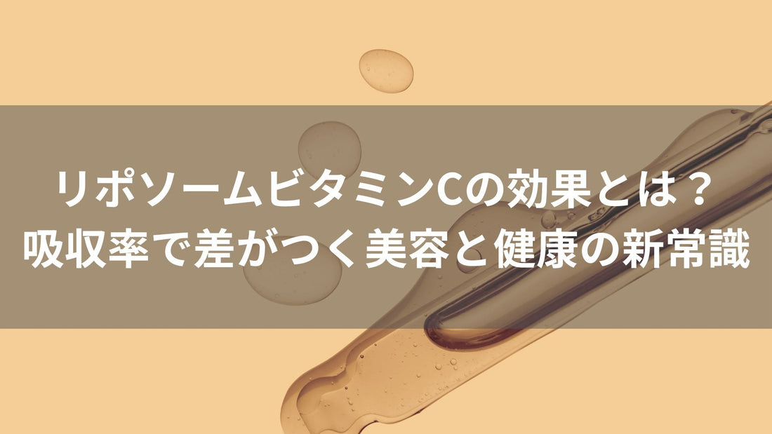 リポソームビタミンCの効果とは？ 吸収率で差がつく美容と健康の新常識