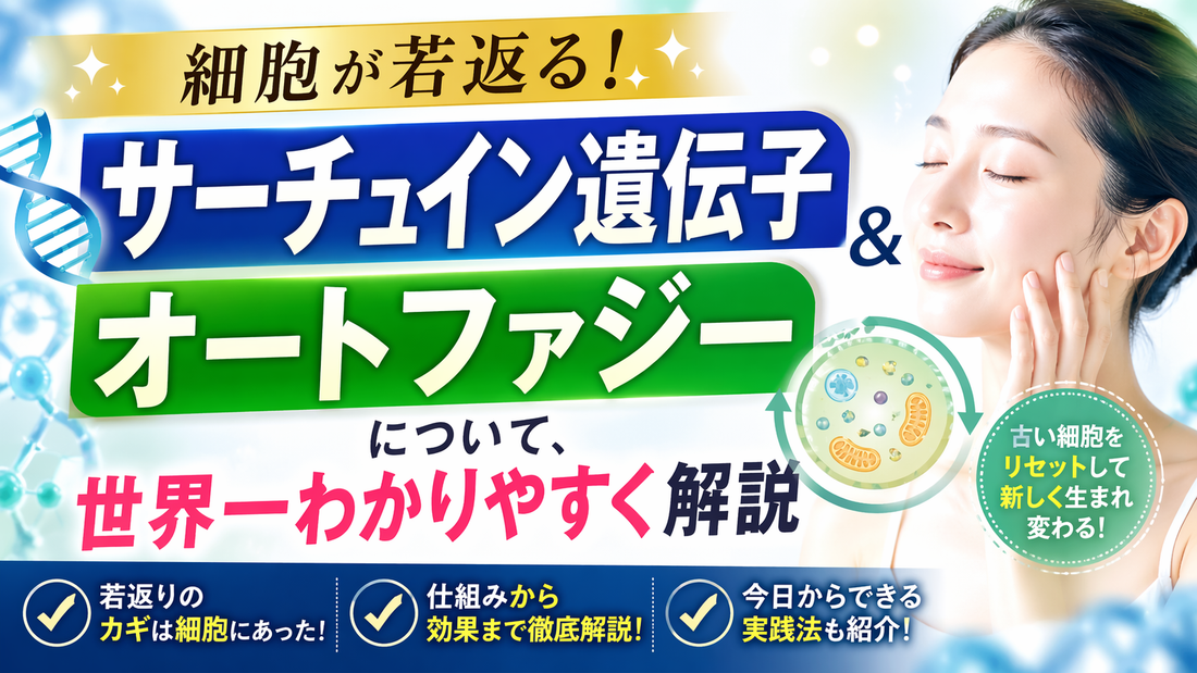細胞が若返る「サーチュイン遺伝子」「オートファジー」について、世界一わかりやすく解説