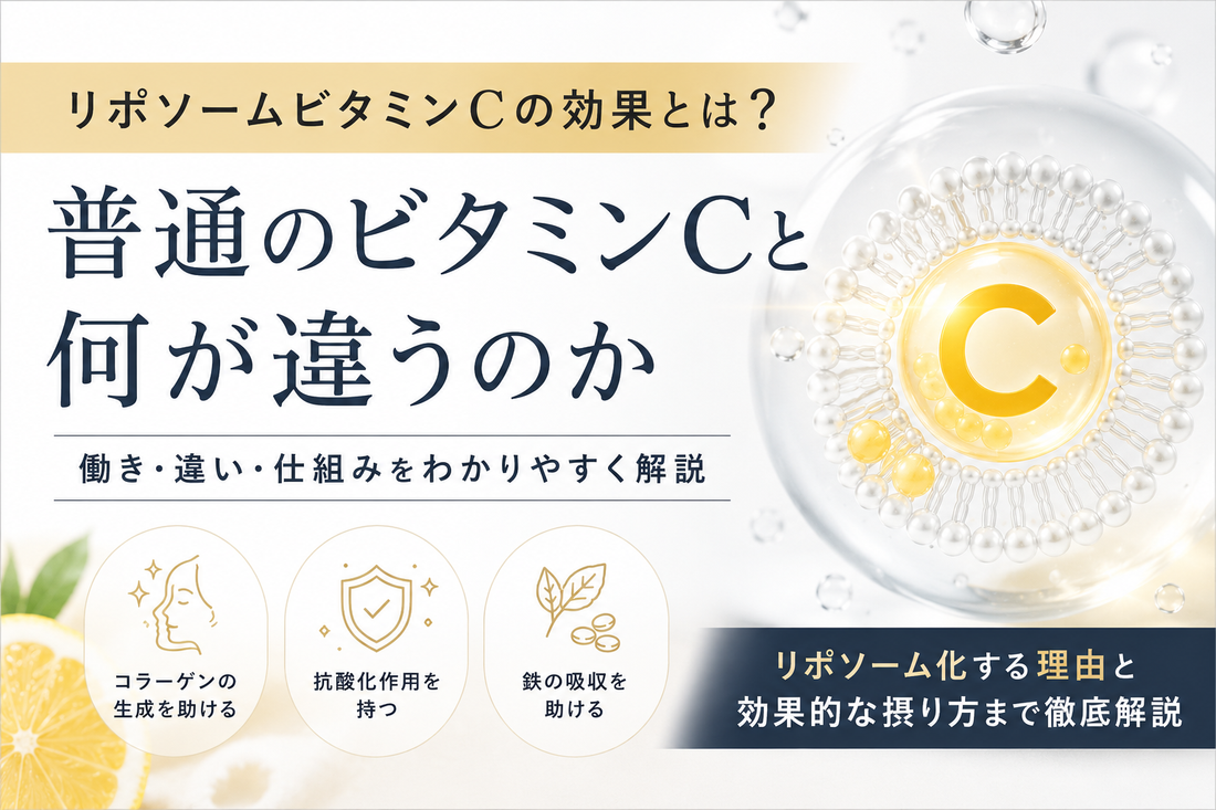 リポソームビタミンCの効果とは？通常のビタミンCとの違いや吸収の仕組みを解説