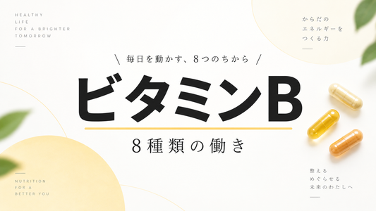 ビタミンB群とは？8種類の働きと不足しやすい生活習慣をわかりやすく解説