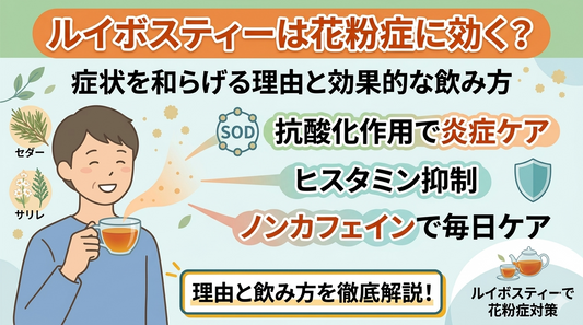 ルイボスティーは花粉症に効く？症状を和らげる理由と効果的な飲み方