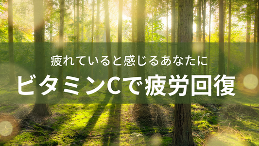 ビタミンCで疲労回復する理由｜効率的な栄養の組み合わせ