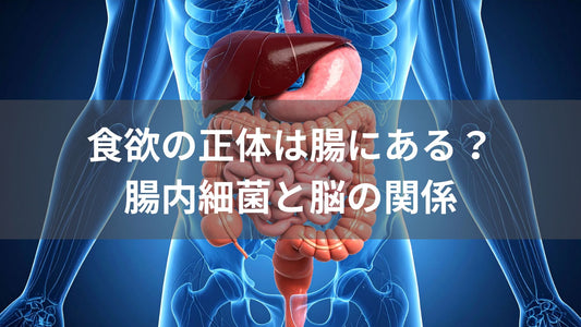 その食欲、本当にあなたの意思？腸内細菌と「食べたい気持ち」の関係