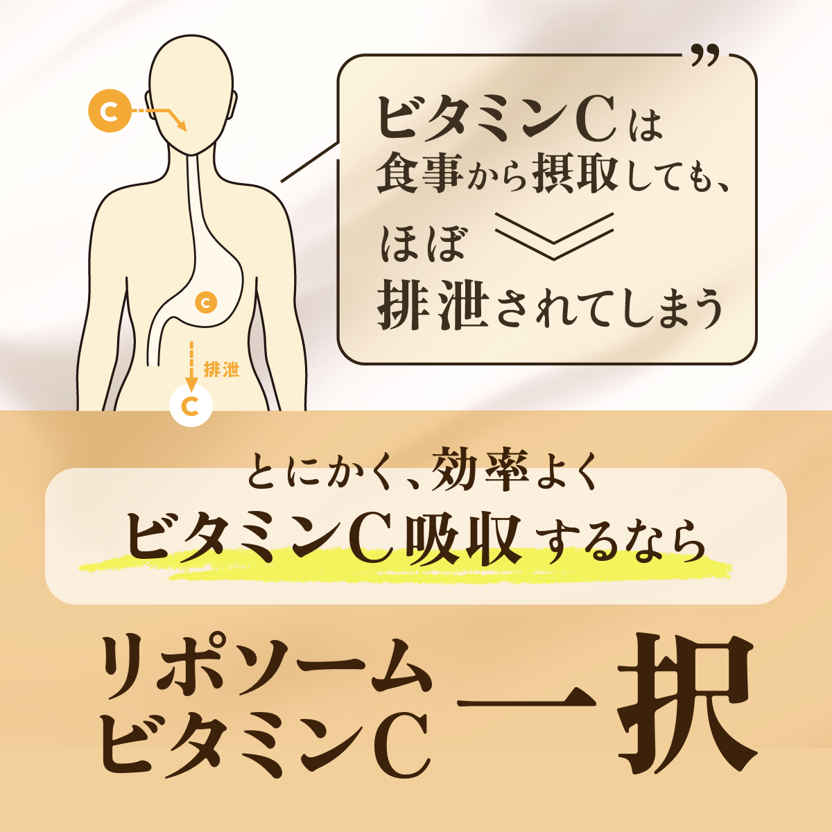 LIPO PLUS リポプラス リポソームビタミンC 1500mg