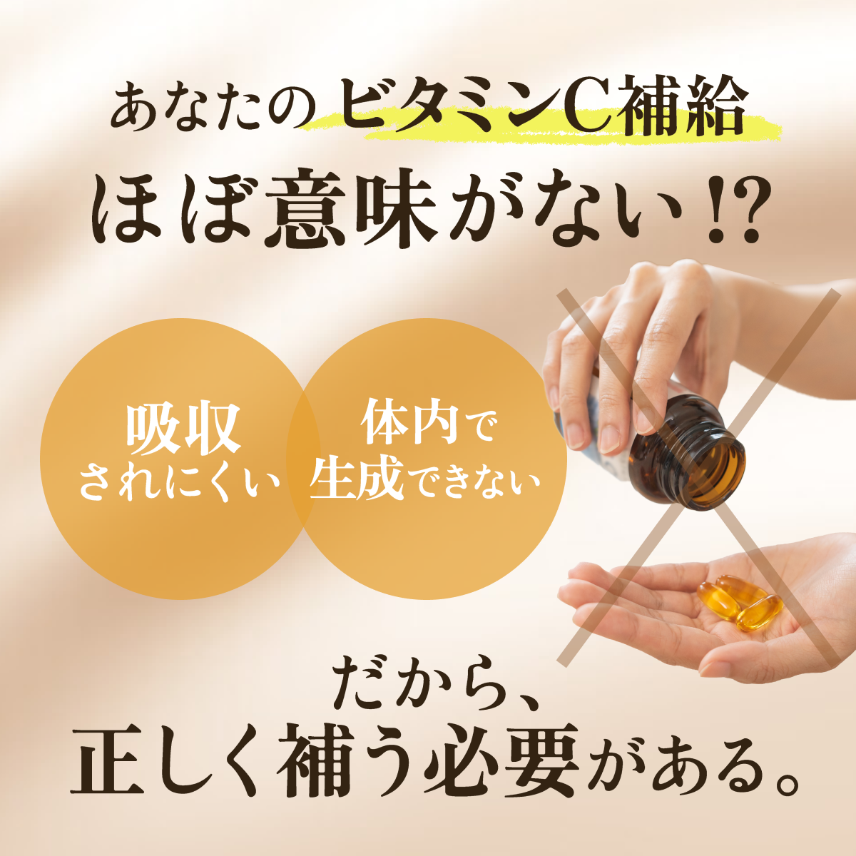 LIPO PLUS リポプラス リポソームビタミンC 1500mg