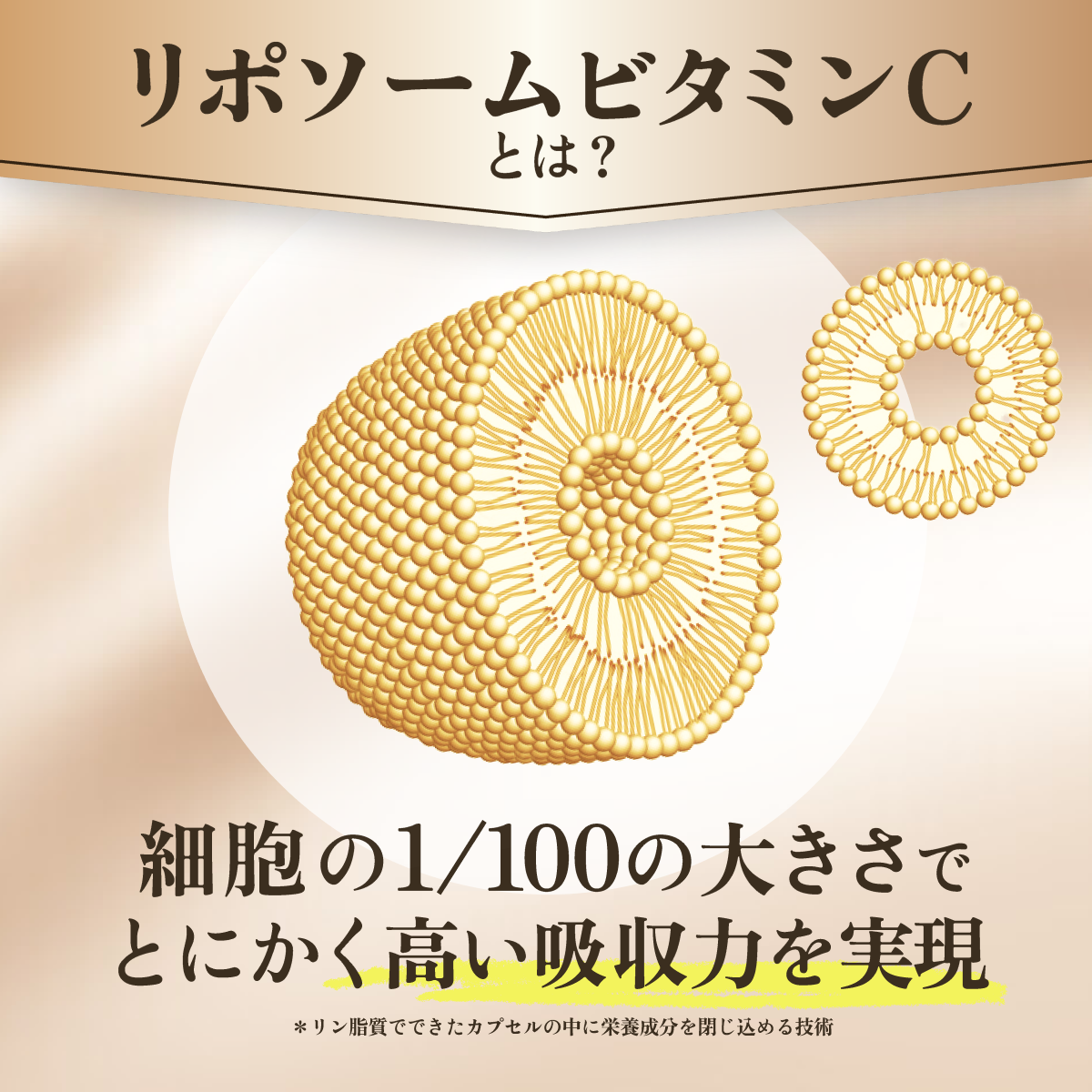 LIPO PLUS リポプラス リポソームビタミンC 1500mg