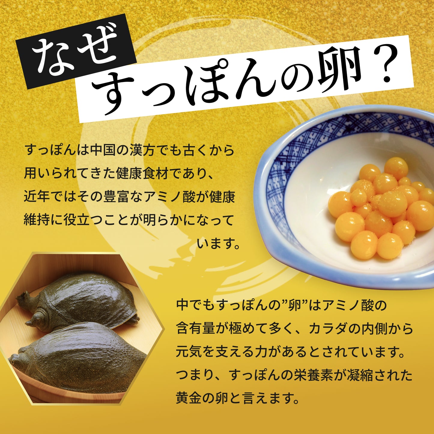 【定期購入】限界突破 | 飲んでも翌朝すっきり｜すっぽん卵・にんにくエキスサプリ